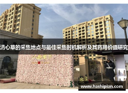 清心草的采集地点与最佳采集时机解析及其药用价值研究 清心草的采集地点与最佳采集时机解析及其药用价值研究
