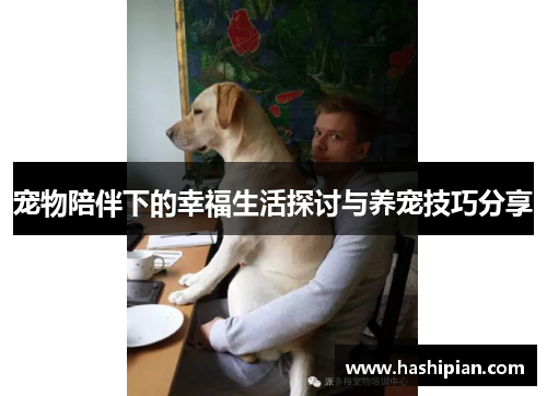 宠物陪伴下的幸福生活探讨与养宠技巧分享 宠物陪伴下的幸福生活探讨与养宠技巧分享